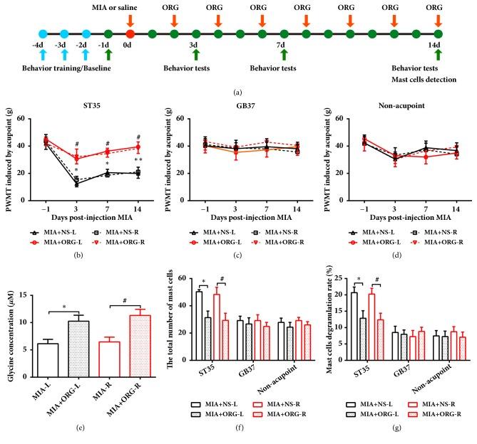 https://cdn.ncbi.nlm.nih.gov/pmc/blobs/2dfc/6383421/5f64bebadae0/ECAM2019-7493286.006.jpg