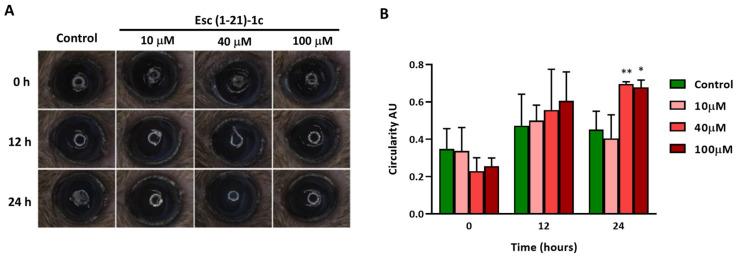 https://cdn.ncbi.nlm.nih.gov/pmc/blobs/2dfd/10377436/27a534f63f80/biomolecules-13-01028-g003.jpg