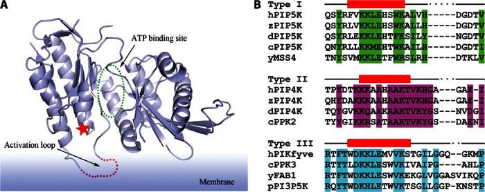https://cdn.ncbi.nlm.nih.gov/pmc/blobs/2dfd/5262455/991cb5928496/1600925-S1.jpg
