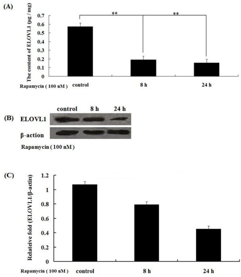 https://cdn.ncbi.nlm.nih.gov/pmc/blobs/2dfe/5088386/c4c391d73025/ajas-29-11-1646f3.jpg