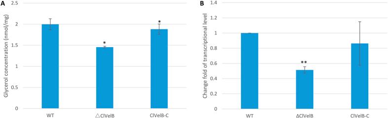 https://cdn.ncbi.nlm.nih.gov/pmc/blobs/2dff/5385503/966131531ec1/srep46054-f7.jpg