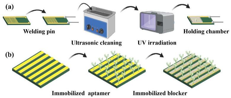 https://cdn.ncbi.nlm.nih.gov/pmc/blobs/2e00/12110345/318c2673694b/biosensors-15-00322-g001.jpg