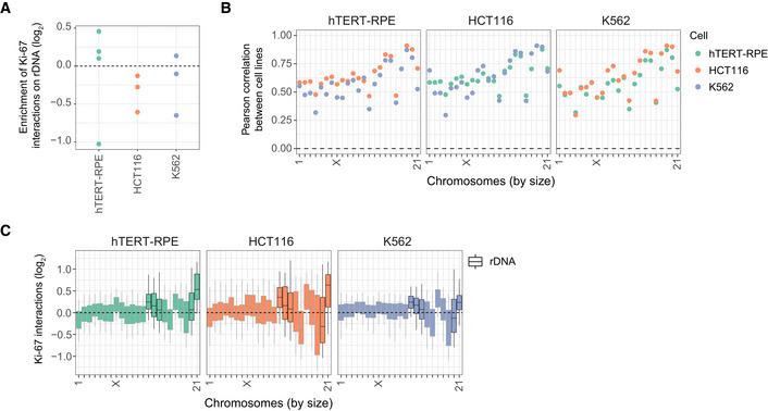 https://cdn.ncbi.nlm.nih.gov/pmc/blobs/2e04/9724667/65c81208777f/EMBR-23-e55782-g008.jpg