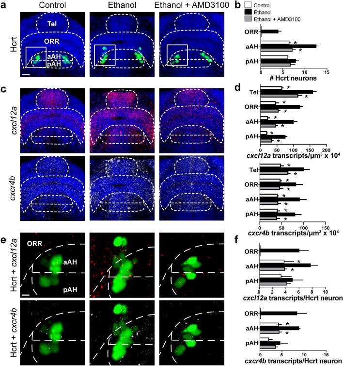 https://cdn.ncbi.nlm.nih.gov/pmc/blobs/2e04/9880007/55a589cd4869/41598_2023_28369_Fig6_HTML.jpg