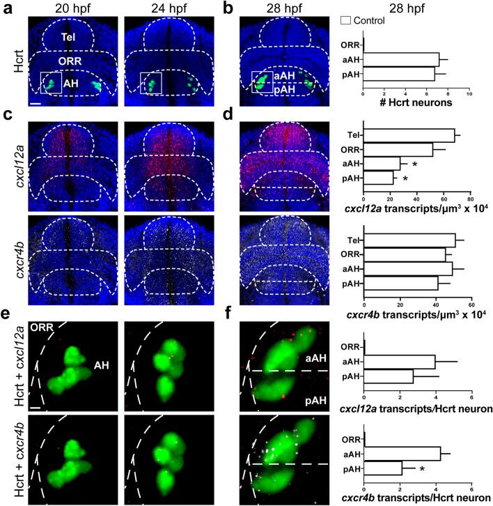 https://cdn.ncbi.nlm.nih.gov/pmc/blobs/2e04/9880007/ac5db9b050d6/41598_2023_28369_Fig4_HTML.jpg