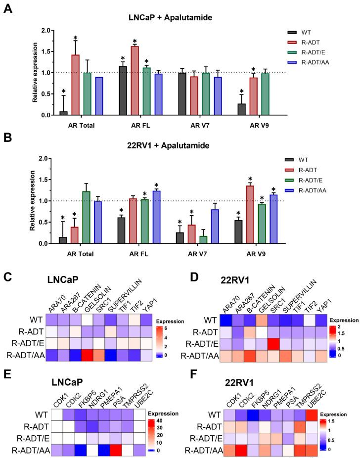 https://cdn.ncbi.nlm.nih.gov/pmc/blobs/2e05/12250327/ec01f08b7ad6/ijms-26-05939-g005.jpg