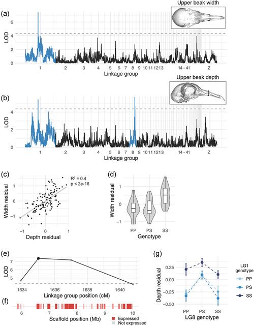 https://cdn.ncbi.nlm.nih.gov/pmc/blobs/2e05/9285057/d79877b47721/EDE-23-477-g002.jpg