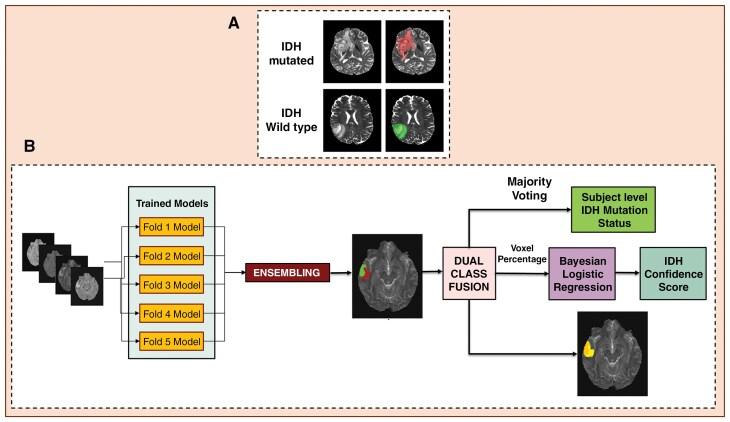 https://cdn.ncbi.nlm.nih.gov/pmc/blobs/2e06/12365901/60acf9245cff/vdaf142_fig1.jpg