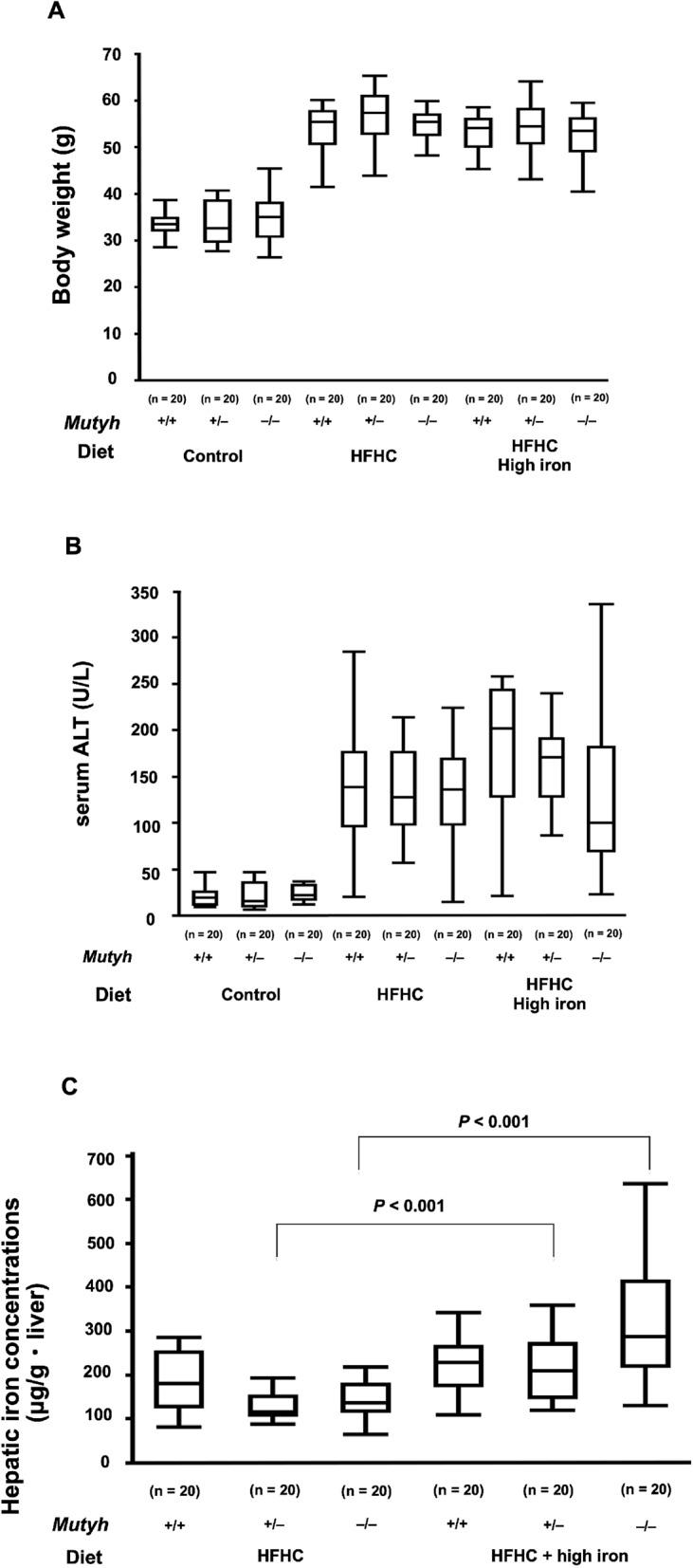 https://cdn.ncbi.nlm.nih.gov/pmc/blobs/2e07/7878918/d3a0adb12609/41598_2021_83138_Fig1_HTML.jpg