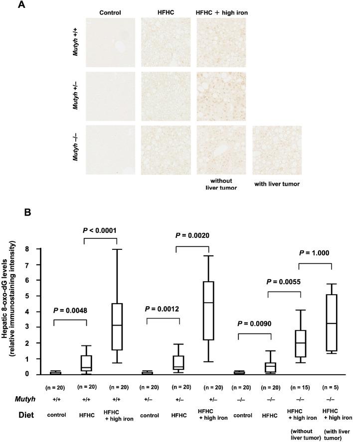 https://cdn.ncbi.nlm.nih.gov/pmc/blobs/2e07/7878918/ec20e19123d9/41598_2021_83138_Fig5_HTML.jpg