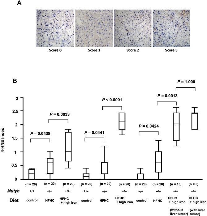 https://cdn.ncbi.nlm.nih.gov/pmc/blobs/2e07/7878918/ffdeb5e56161/41598_2021_83138_Fig4_HTML.jpg