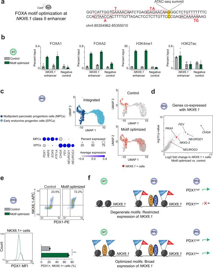 https://cdn.ncbi.nlm.nih.gov/pmc/blobs/2e07/8599738/44bea104cb62/41467_2021_26950_Fig6_HTML.jpg