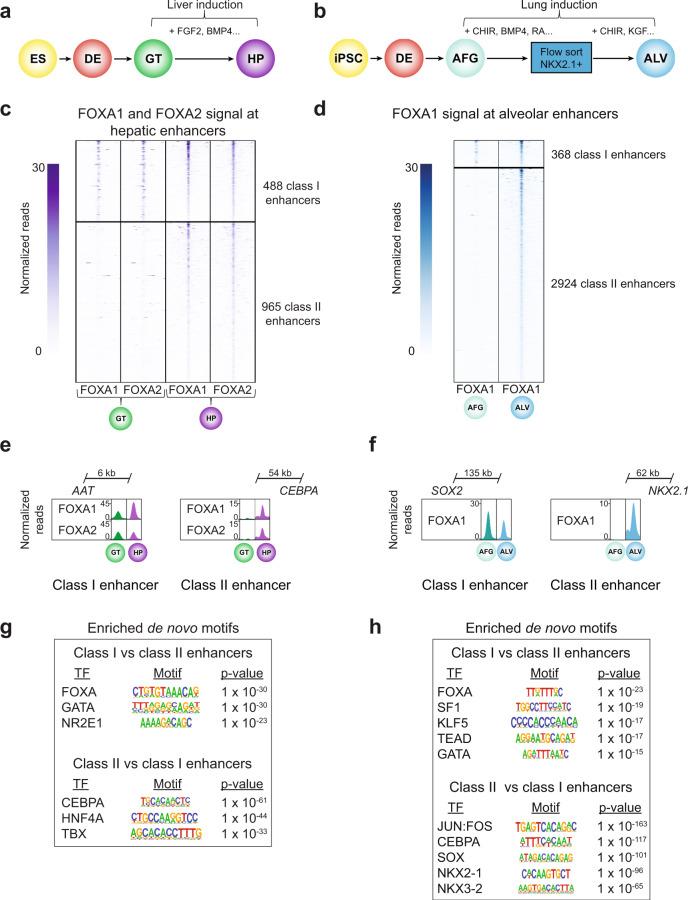 https://cdn.ncbi.nlm.nih.gov/pmc/blobs/2e07/8599738/791fb310df7d/41467_2021_26950_Fig7_HTML.jpg