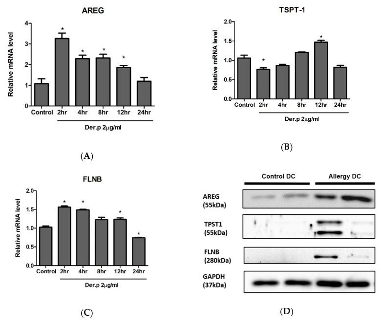 https://cdn.ncbi.nlm.nih.gov/pmc/blobs/2e08/7697962/32e3f891b829/ijms-21-08640-g003.jpg