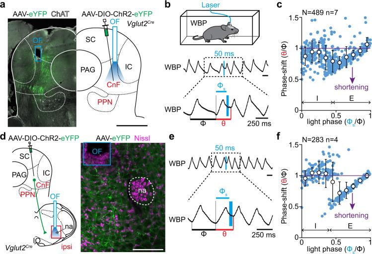 https://cdn.ncbi.nlm.nih.gov/pmc/blobs/2e09/10203288/ac1e85bc05be/41467_2023_38583_Fig2_HTML.jpg