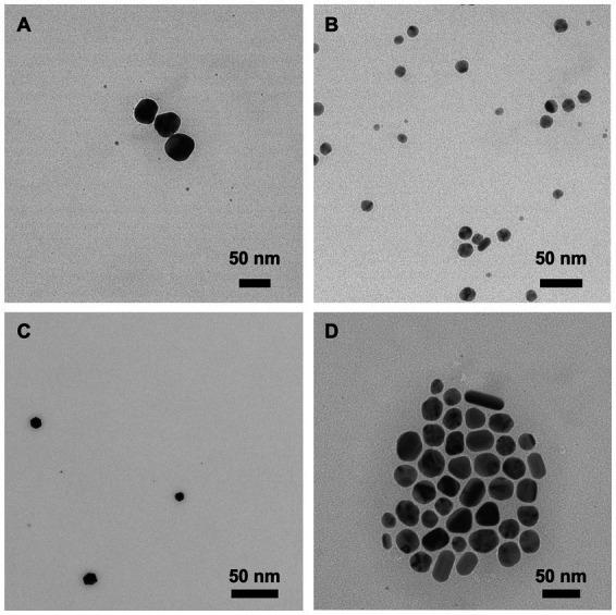 https://cdn.ncbi.nlm.nih.gov/pmc/blobs/2e09/9947285/222bfde8b27f/fmicb-14-1119550-g002.jpg