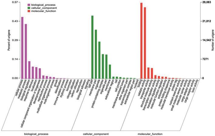 https://cdn.ncbi.nlm.nih.gov/pmc/blobs/2e0b/9408854/0e5693a946c1/ijms-23-08897-g004.jpg