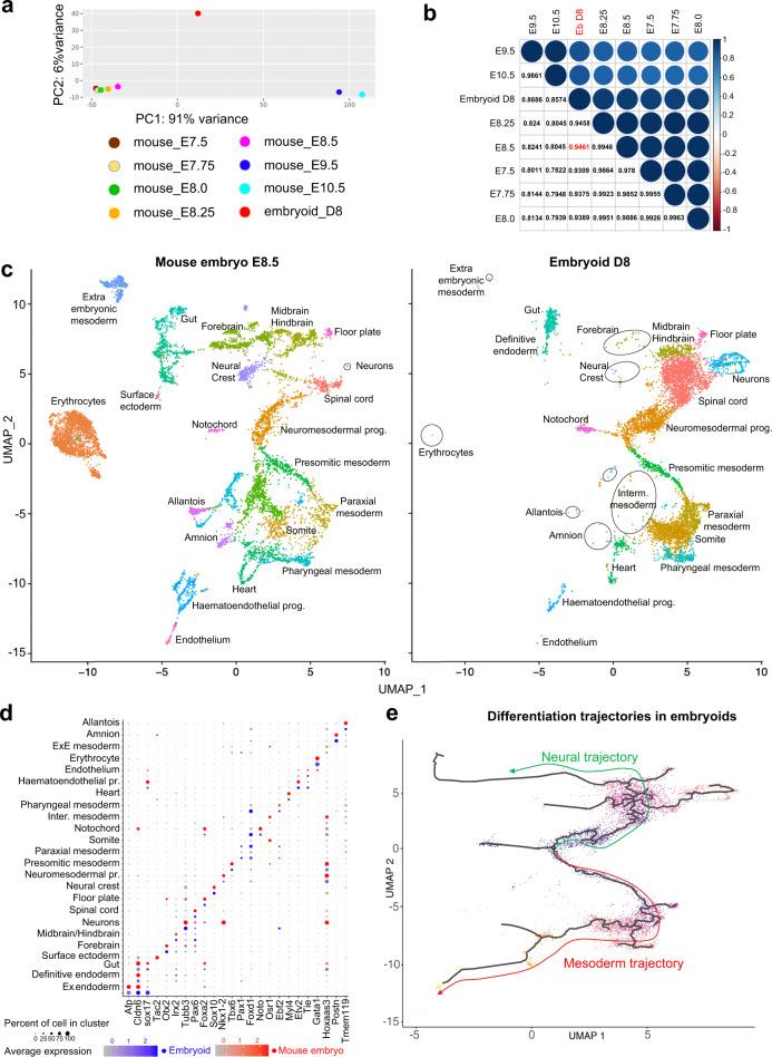 https://cdn.ncbi.nlm.nih.gov/pmc/blobs/2e0c/8172561/b9bb5f166f4e/41467_2021_23653_Fig8_HTML.jpg
