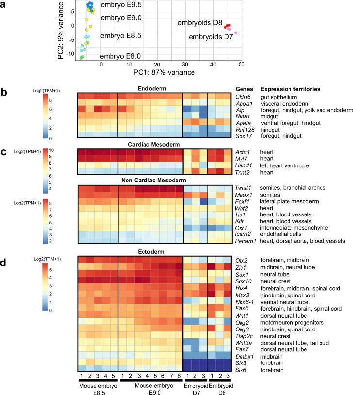 https://cdn.ncbi.nlm.nih.gov/pmc/blobs/2e0c/8172561/c3134e3696fd/41467_2021_23653_Fig7_HTML.jpg
