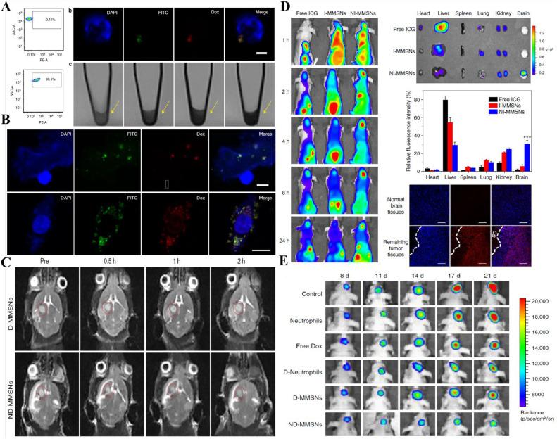 https://cdn.ncbi.nlm.nih.gov/pmc/blobs/2e15/12125590/496b93bb1d13/gr8.jpg