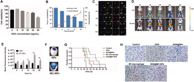https://cdn.ncbi.nlm.nih.gov/pmc/blobs/2e15/12125590/71fd43b6a3a5/gr6.jpg