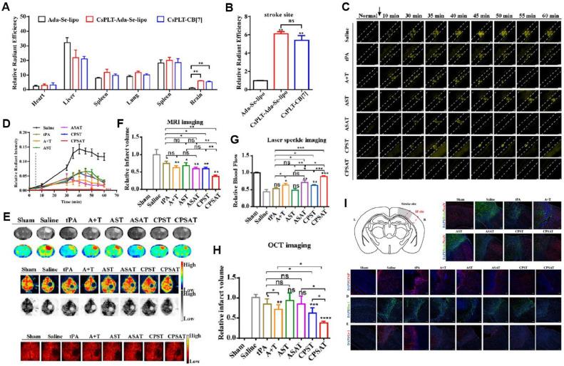 https://cdn.ncbi.nlm.nih.gov/pmc/blobs/2e15/12125590/7cf2637475ed/gr10.jpg