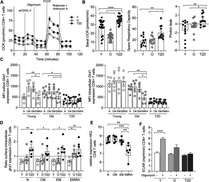 https://cdn.ncbi.nlm.nih.gov/pmc/blobs/2e15/9261431/bf3b27a5378a/fragi-02-681428-g003.jpg