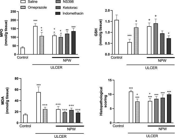 https://cdn.ncbi.nlm.nih.gov/pmc/blobs/2e16/11006733/e59bbf153b29/10787_2023_1403_Fig2_HTML.jpg