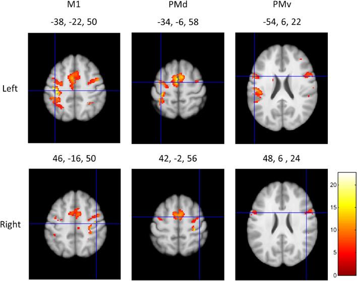 https://cdn.ncbi.nlm.nih.gov/pmc/blobs/2e17/10798994/98449eb5c13a/41598_2024_51835_Fig1_HTML.jpg