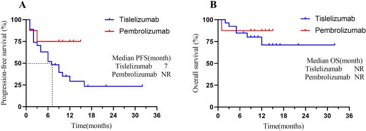 https://cdn.ncbi.nlm.nih.gov/pmc/blobs/2e17/12098365/4f675bdcd6a7/fimmu-16-1567824-g004.jpg
