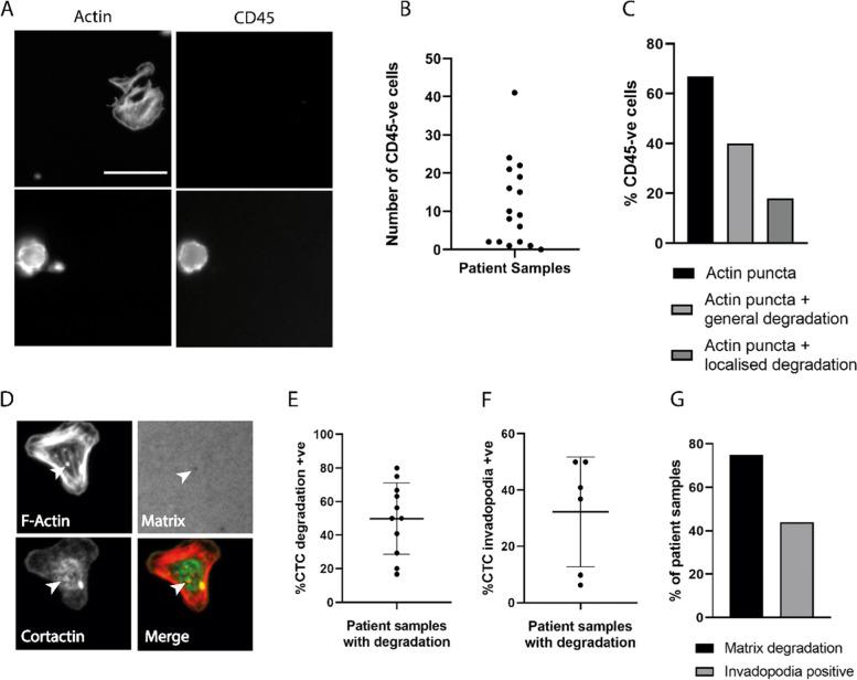 https://cdn.ncbi.nlm.nih.gov/pmc/blobs/2e17/8994910/5299942dc09c/12885_2022_9424_Fig4_HTML.jpg