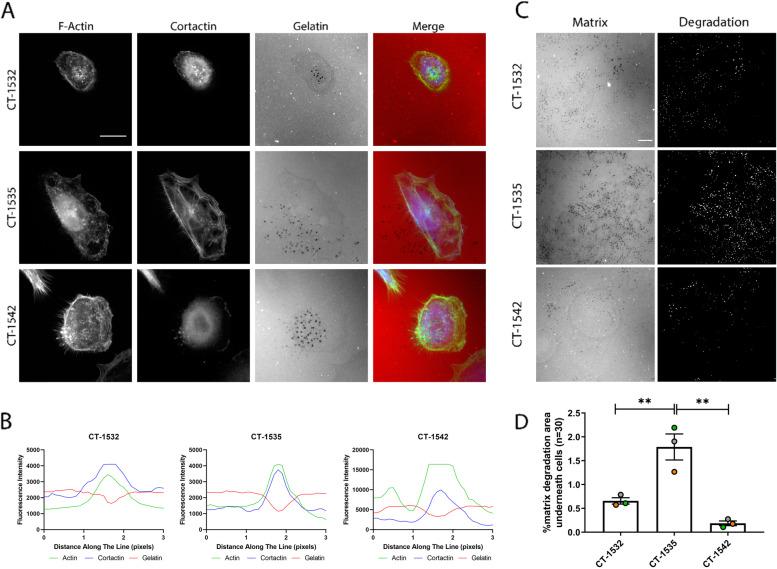 https://cdn.ncbi.nlm.nih.gov/pmc/blobs/2e17/8994910/a47c6c00bfa0/12885_2022_9424_Fig2_HTML.jpg