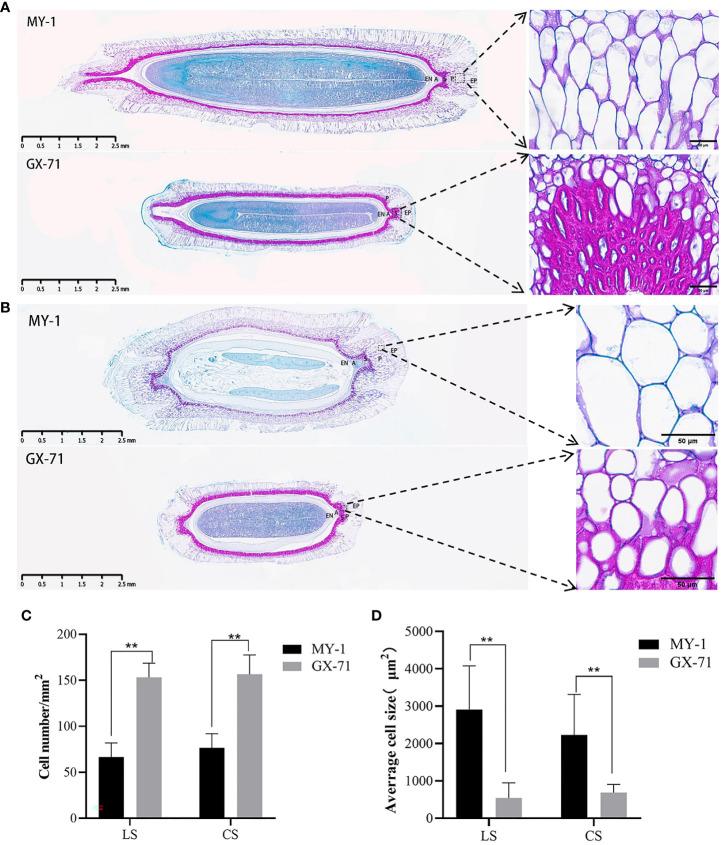 https://cdn.ncbi.nlm.nih.gov/pmc/blobs/2e1a/10570438/00f3a4da8941/fpls-14-1266796-g002.jpg