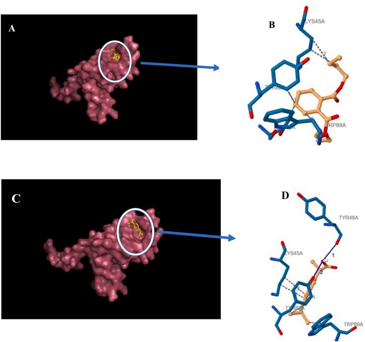 https://cdn.ncbi.nlm.nih.gov/pmc/blobs/2e1a/11153241/490846487ed2/gr8.jpg