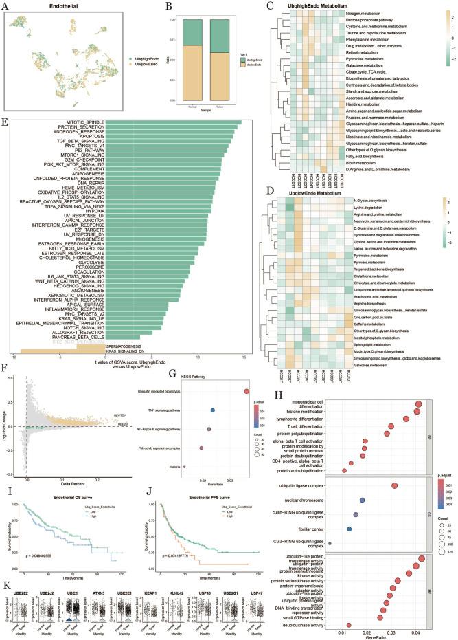 https://cdn.ncbi.nlm.nih.gov/pmc/blobs/2e1b/12022440/102a7a7a76b2/fphar-16-1545472-g006.jpg