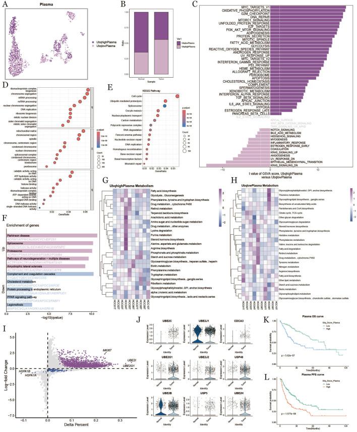 https://cdn.ncbi.nlm.nih.gov/pmc/blobs/2e1b/12022440/2773798de774/fphar-16-1545472-g004.jpg