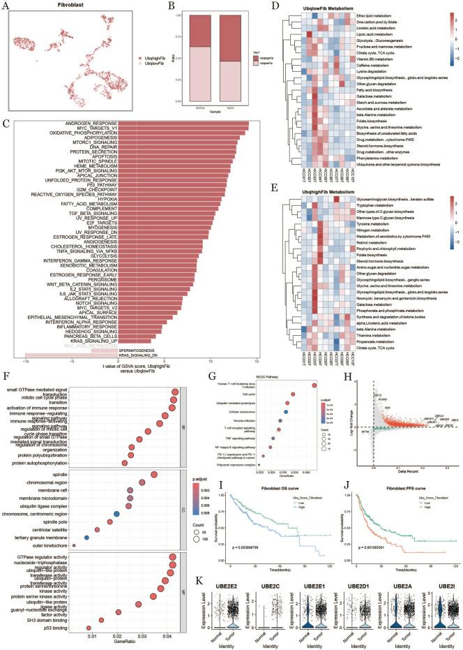 https://cdn.ncbi.nlm.nih.gov/pmc/blobs/2e1b/12022440/584015dd6011/fphar-16-1545472-g005.jpg