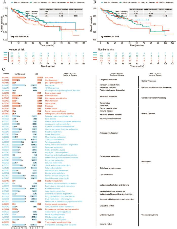 https://cdn.ncbi.nlm.nih.gov/pmc/blobs/2e1b/12022440/6edadfeb5480/fphar-16-1545472-g010.jpg