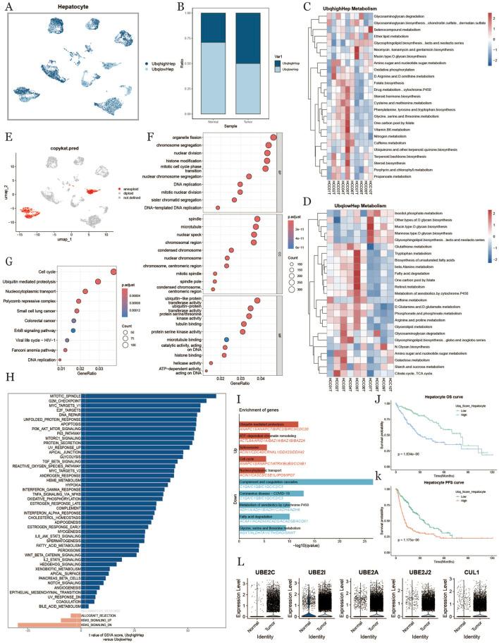 https://cdn.ncbi.nlm.nih.gov/pmc/blobs/2e1b/12022440/7b9eaa84b8c4/fphar-16-1545472-g003.jpg