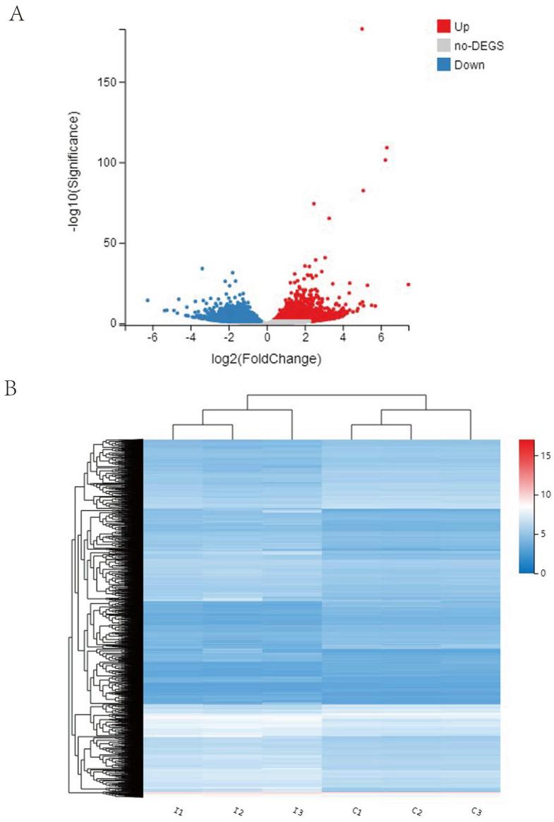 https://cdn.ncbi.nlm.nih.gov/pmc/blobs/2e1b/9959643/c933f36b07ab/viruses-15-00398-g006a.jpg