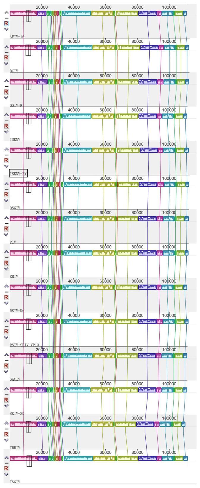 https://cdn.ncbi.nlm.nih.gov/pmc/blobs/2e1b/9959643/e860be591deb/viruses-15-00398-g004.jpg