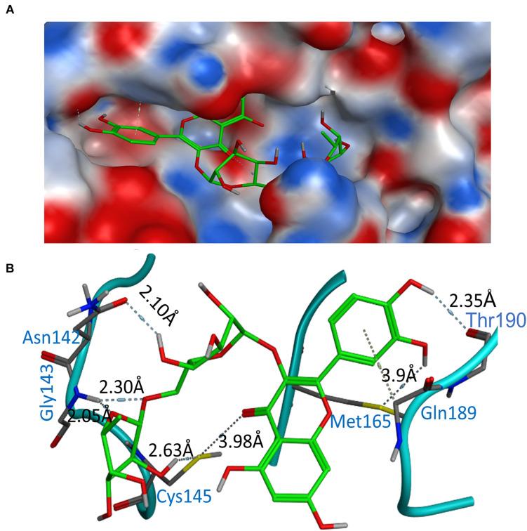 https://cdn.ncbi.nlm.nih.gov/pmc/blobs/2e1e/7561382/bdc13a2e92fa/fmolb-07-556481-g003.jpg