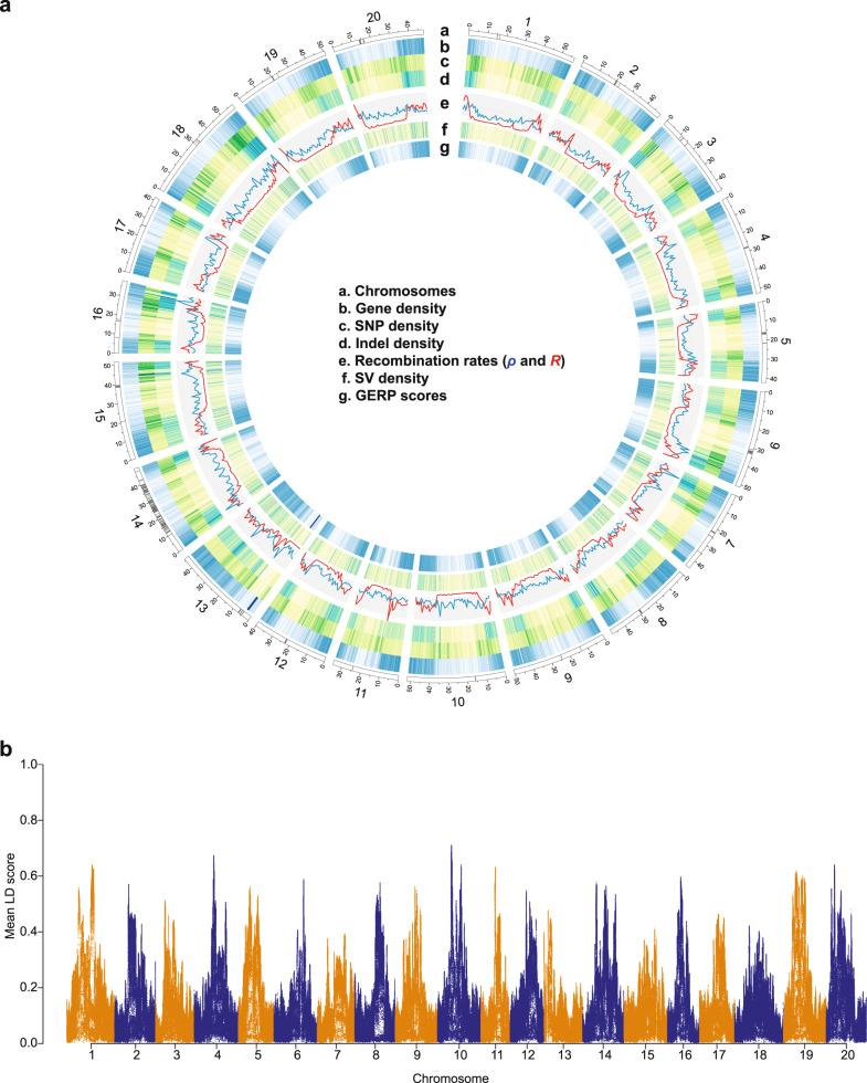https://cdn.ncbi.nlm.nih.gov/pmc/blobs/2e1e/7782591/67c2f6cf01e6/41467_2020_20337_Fig2_HTML.jpg