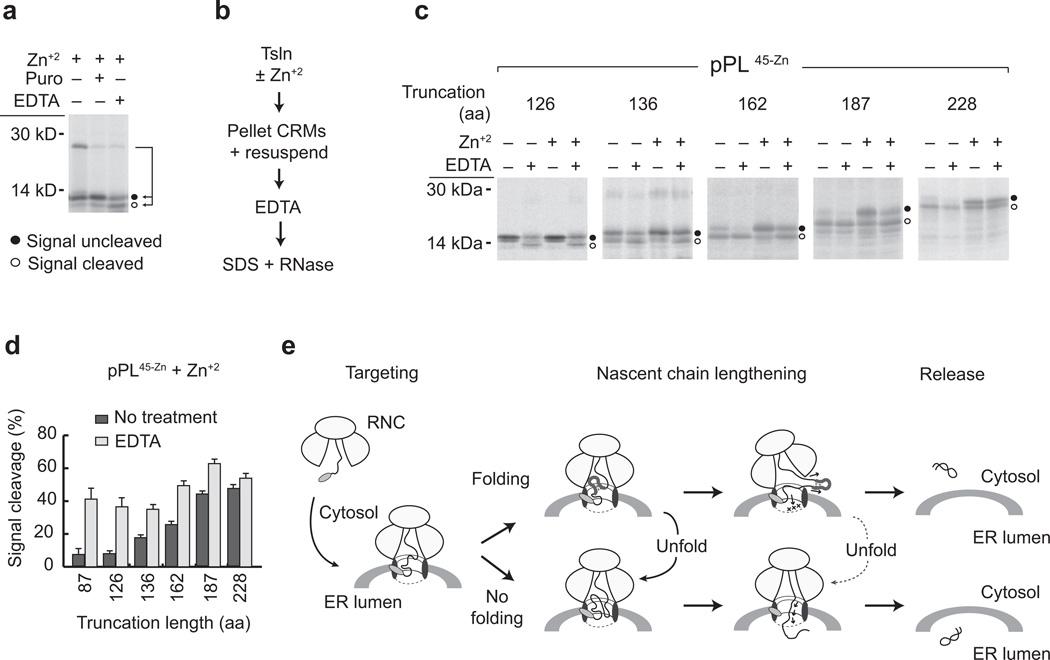 https://cdn.ncbi.nlm.nih.gov/pmc/blobs/2e20/4351553/db6c1fbb0db4/nihms560852f7.jpg