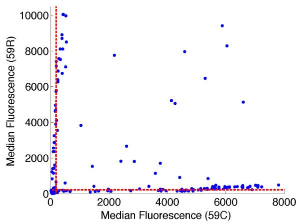 https://cdn.ncbi.nlm.nih.gov/pmc/blobs/2e21/2912781/a97e59784665/1471-2156-11-57-2.jpg