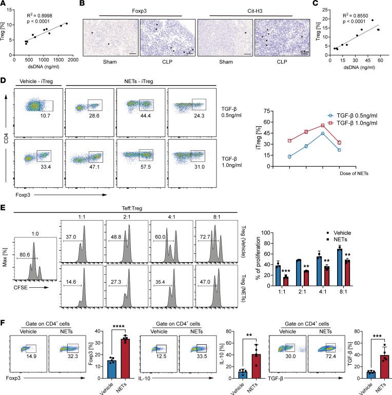 https://cdn.ncbi.nlm.nih.gov/pmc/blobs/2e23/11383165/0e33de829991/jciinsight-9-180132-g142.jpg