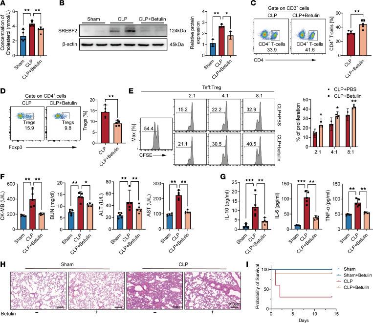 https://cdn.ncbi.nlm.nih.gov/pmc/blobs/2e23/11383165/2b82bcf3932e/jciinsight-9-180132-g146.jpg