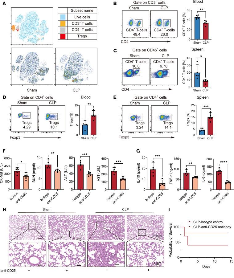 https://cdn.ncbi.nlm.nih.gov/pmc/blobs/2e23/11383165/7ae1c7e327c9/jciinsight-9-180132-g141.jpg