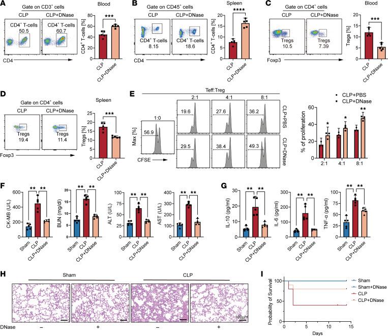 https://cdn.ncbi.nlm.nih.gov/pmc/blobs/2e23/11383165/d43dd2469745/jciinsight-9-180132-g145.jpg