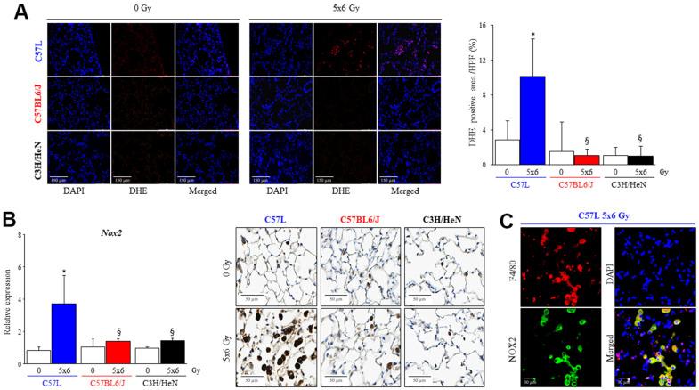 https://cdn.ncbi.nlm.nih.gov/pmc/blobs/2e23/9596223/2f1a10db4bda/aging-14-204309-g008.jpg